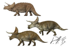 Triceratops over the centuries