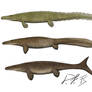 Mosasaurs, now and then