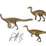 Ornithomimosaurs over the centuries