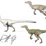Velociraptor now and then