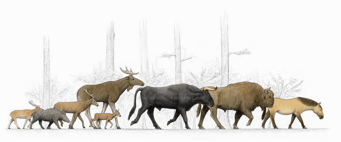 Central Europe's Holocene Megaherbivores