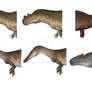 Theropod necks: horse-neck vs. conventional