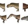 Theropod necks: horse-neck vs. conventional