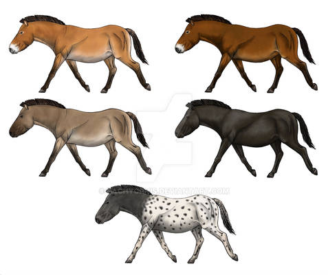 European wild horse colours