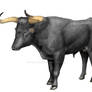 Another aurochs.