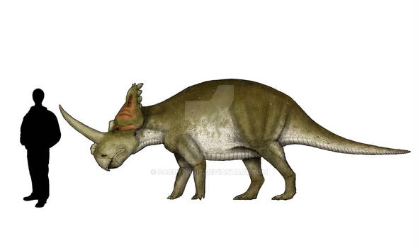 Centrosaurus nasicornis
