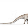 Tail-dragging Diplodocus