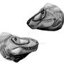 Tarbosaurus is Tyrannosaurus bataar