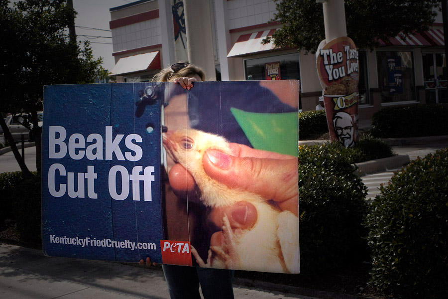 KFC Protest by pic0maro on DeviantArt