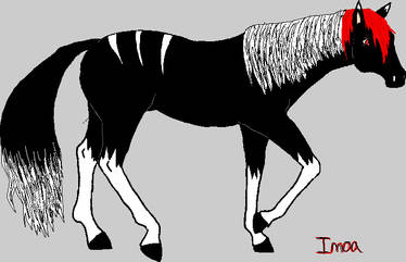 Imoa Equine