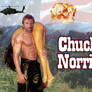 Chuck Norris - a study