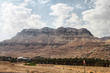 Oasis Ein-Gedi