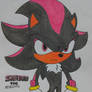 Shadow The Hedgehog