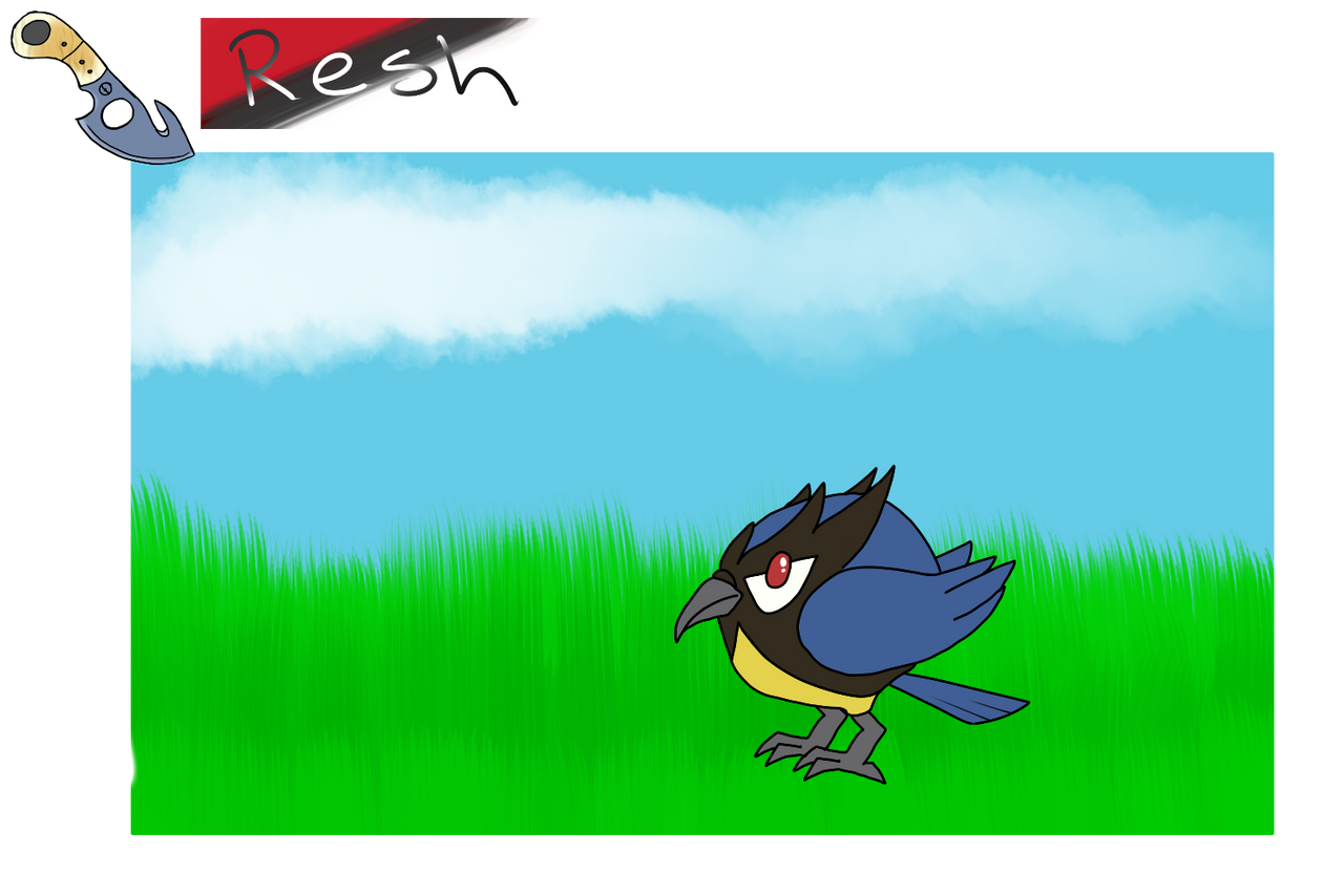 Rookidee Deviantart Resh | M | Rookidee by AmeEgaree on DeviantArt