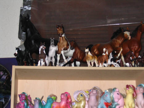 Equine toy shelf top