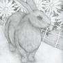 The Rueful Rabbit