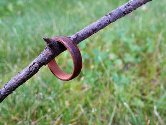 Bent wood ring wallnut-pear