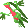 #253 - Grovyle