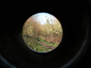 Through the keyhole