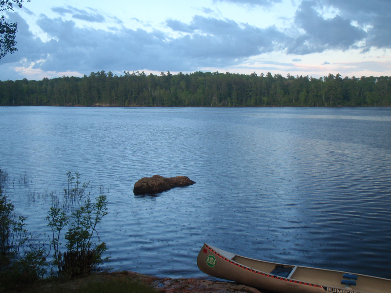 BWCA 4