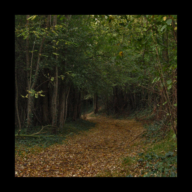 Mysterious Path by darkcalypso on DeviantArt