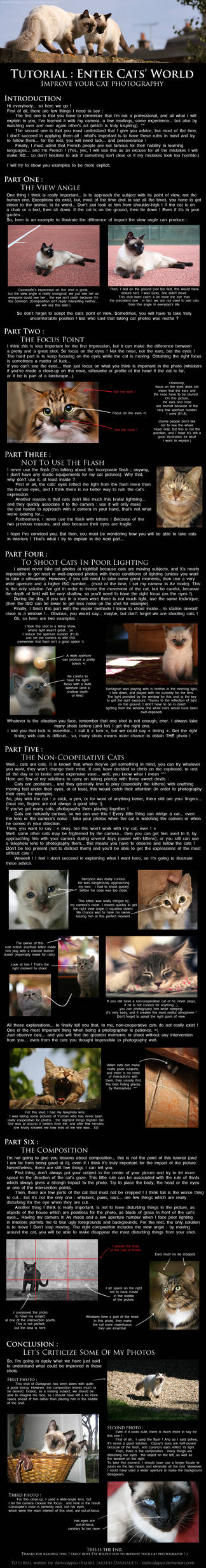 Tutorial : Enter Cats' World by darkcalypso