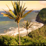 Northern Beach in Hilo Island