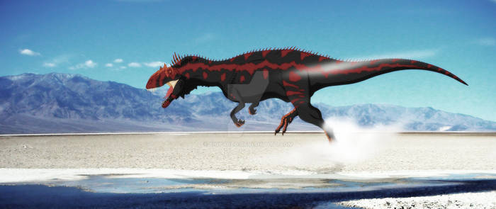 Allosaurus fragilis desert