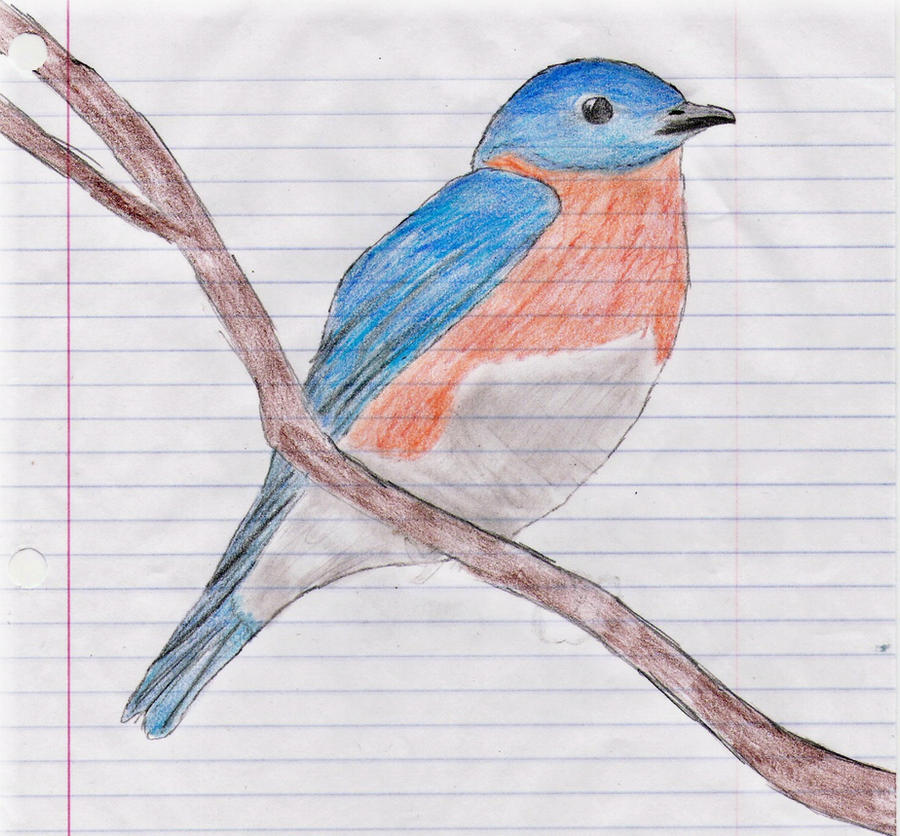 Рисунки птиц для срисовки легкие. Птица рисунок. Рисование красивая птичка. Птица детский рисунок. Птица рисунок легкий.