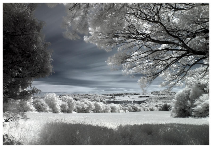 Infrared Practice by wildpaintings on DeviantArt