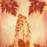 Anthotype #5