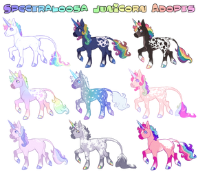 Spectraloosa Junicorn Adopt Sheet (OPEN 7/9) by enchantedpencilARPGs