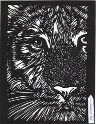 tigre papercut