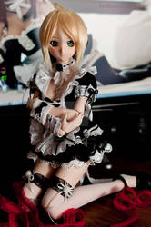 DD Saber Lily Maid Red Ribbon