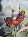 butterflies by starfishenterprise