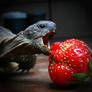 strawberry predator