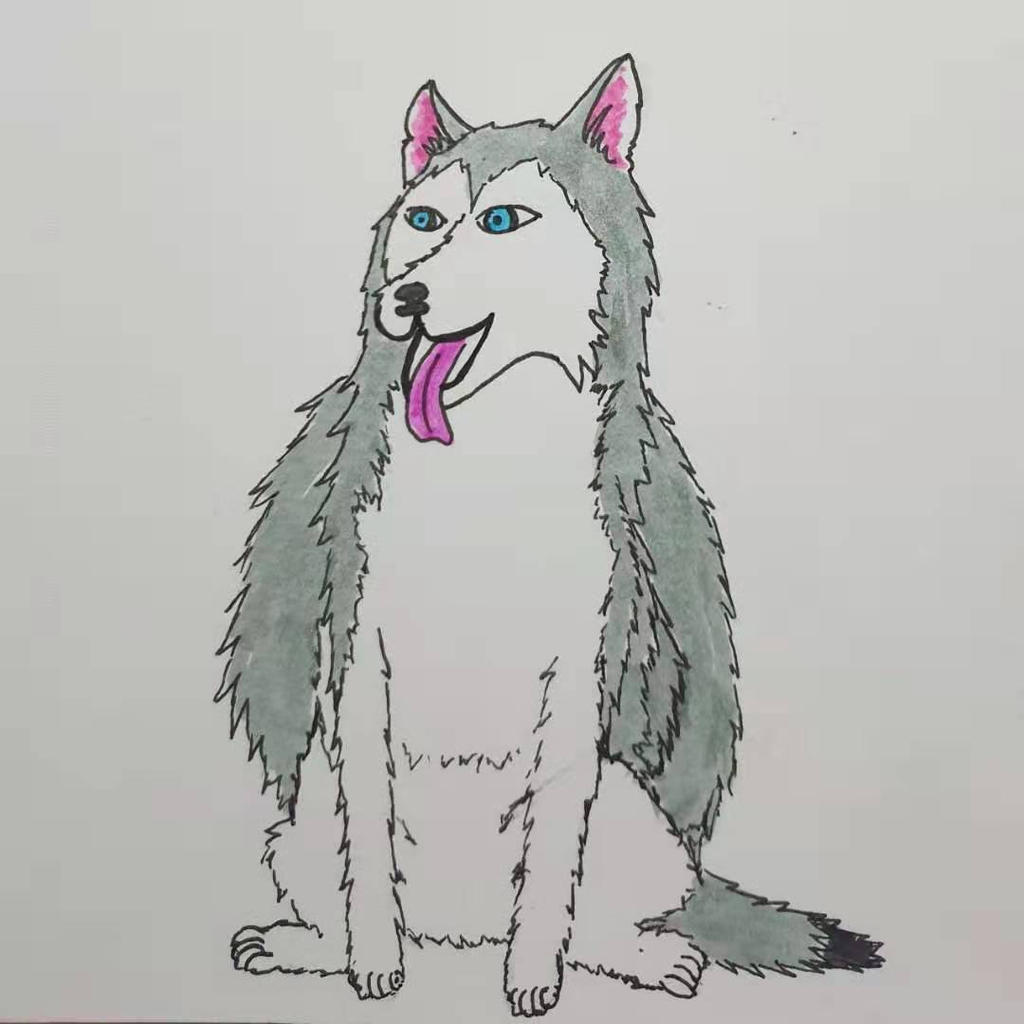 Husky Deviantart The Husky Husky by ZephyrWhisperer on DeviantArt