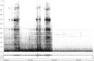 environmental sound analysis 1