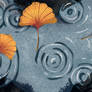 Ginkgo