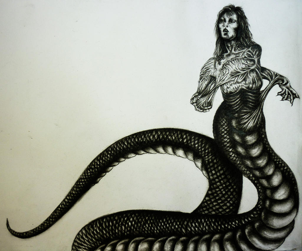 Half Human Half Snake Drawing D&D Character Commission! This Is Dijon