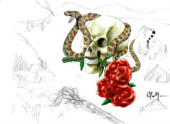 Snake And Roses