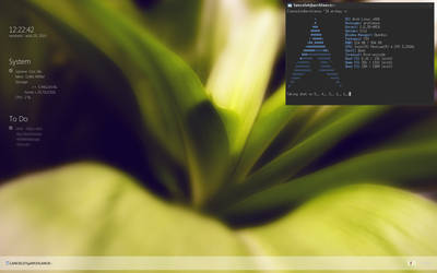 Aout Desktop