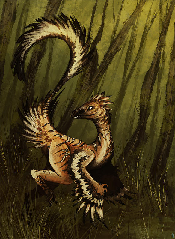 Wanamo Raptor Raptor by Kanizo on DeviantArt