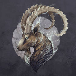 Misty Ibex
