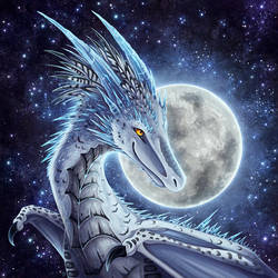 Feathered Dragons Deviantart Gallery Feathered Dragons Deviantart Gallery
