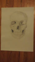 Skull Drawing I