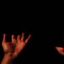 Into the Darkness