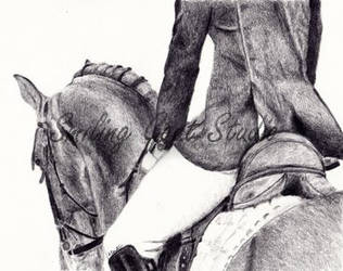 Dressage Rider And Horse