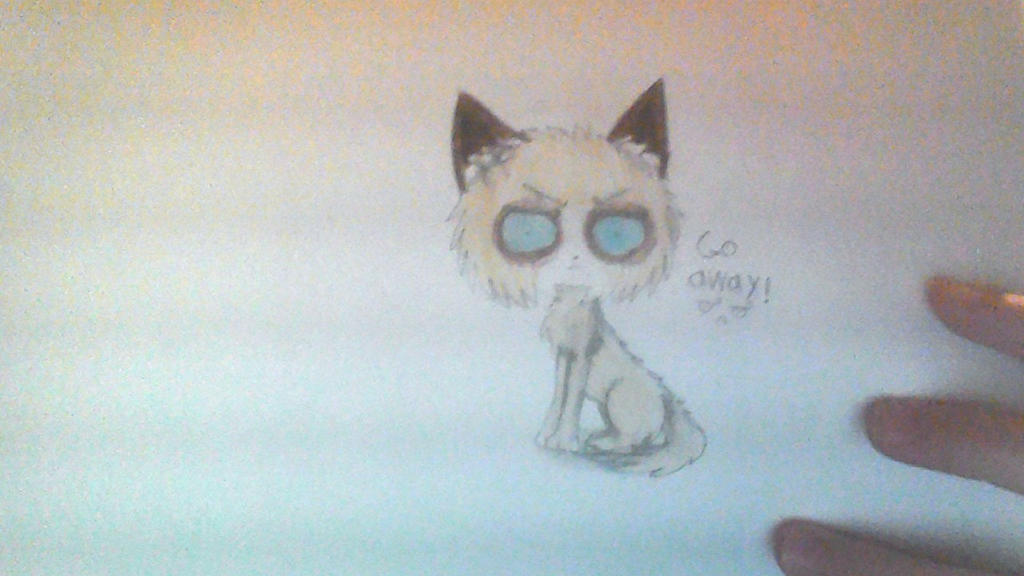Grumpy Fan grumpy cat (fan art) by crazy-rainbow-zombie on DeviantArt