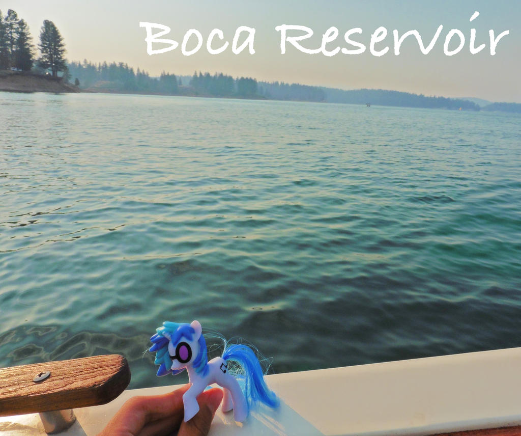 Boca Reservoir - Ponies Around the World 2016